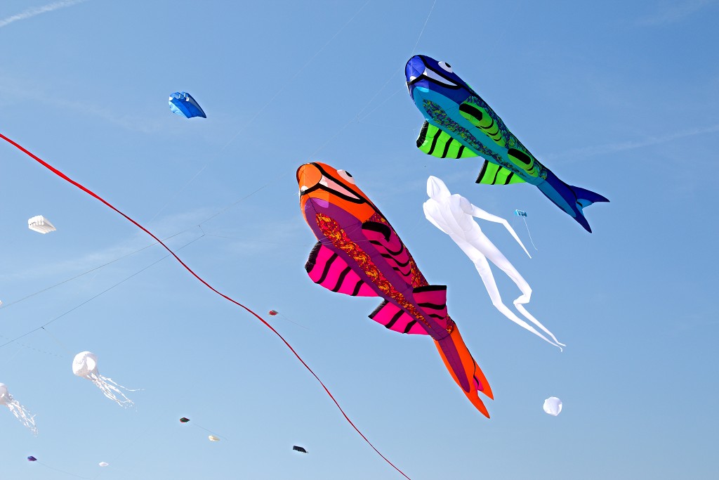 Cerfs-Volants vliegerfestival festival festiviteit evenement event berck sur mer vlieger speelgoed strand